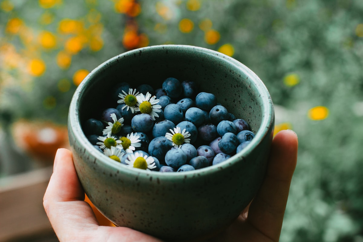 Cranberries and blueberries for bladder health